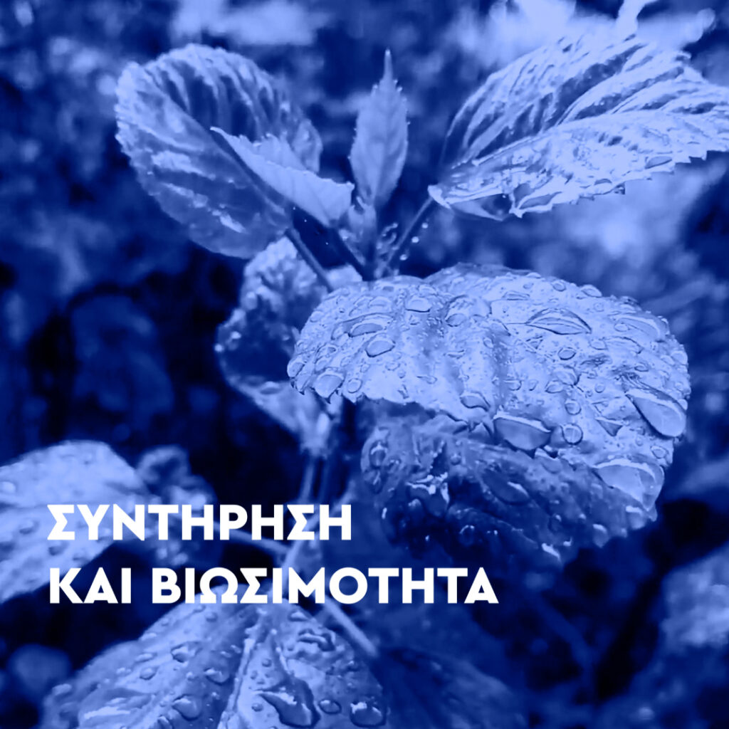 Τα οφέλη των προκατασκευασμένων μεταλλικών κτιρίων8